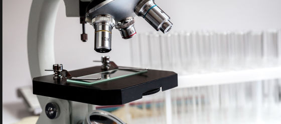 Buen precio Panel de vidrio crudo resistente a químicos para portaobjetos de histología/citología 1300*1100mm Tamaño regular 4PB 9-12um en línea